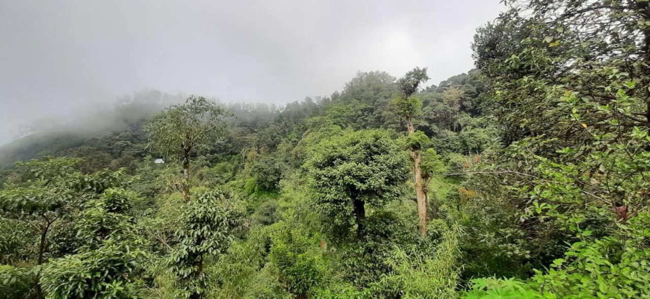 Spinson Home Stay Madikeri Eksteriør billede